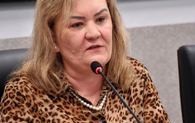 Vereadora pede sinalização para evitar entrada de caminhões no centro de SMO