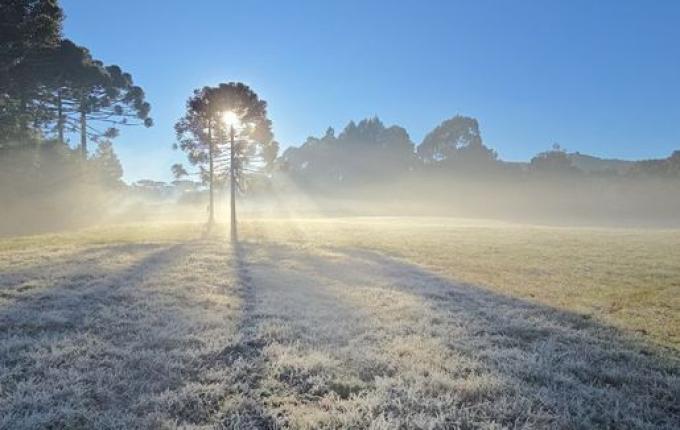 Terça-feira começa com temperaturas negativas e geada ampla em SC