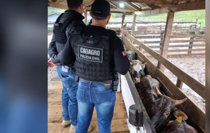 Polícia Civil realiza fiscalização em propriedade rural de Modelo