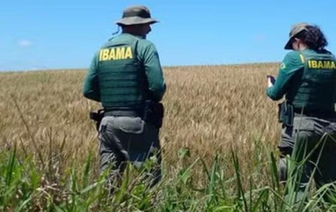 Concurso do Ibama tem 4 vagas para SC com salários de até R$ 9,9 mil