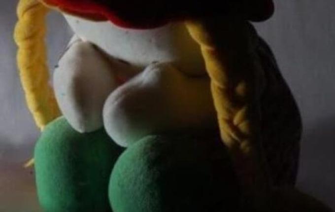 Casos de assédio sexual em escolas de SC ficam acima da média nacional