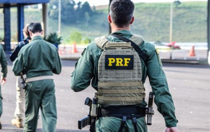 VÍDEO: Cães de faro da PRF de Guaraciaba passam por ambientação