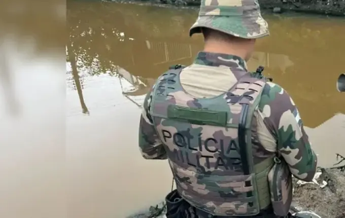 Defesa Civil aponta duas possíveis causas para a morte de milhares de peixes em rio de SC