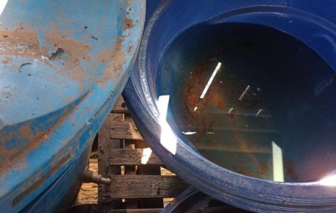 São Miguel do Oeste registra primeiro caso de dengue do ano