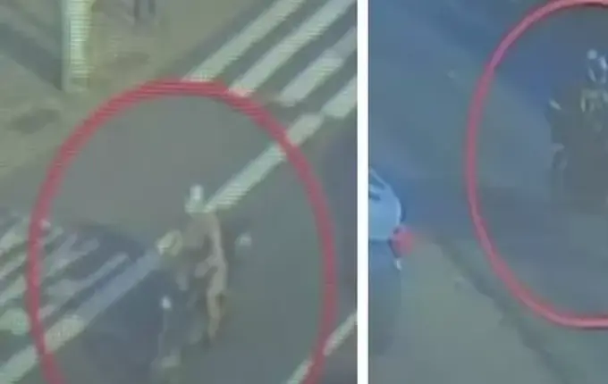 Assassino de alunos em Blumenau queria atacar creches perto de casa, mas "muros eram altos"