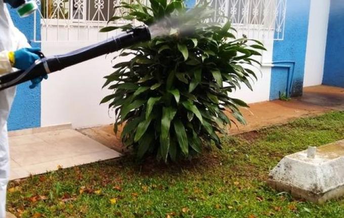 Fumacê contra a dengue começa nesta quarta em São Miguel do Oeste