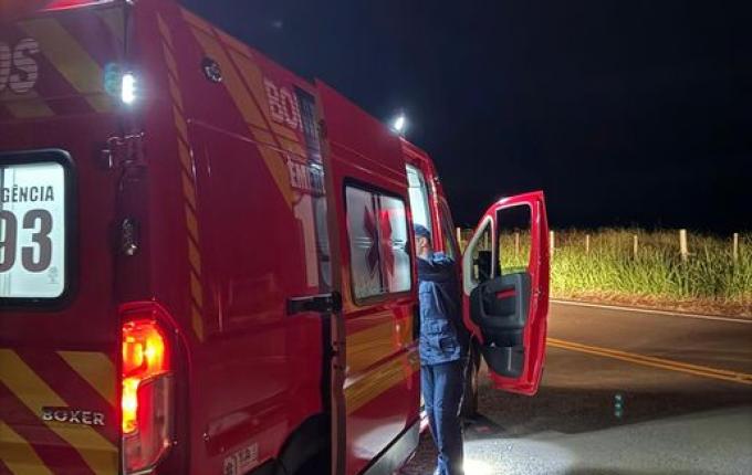 Motociclista fica ferido após colidir com boi na SC-492, em Barra Bonita