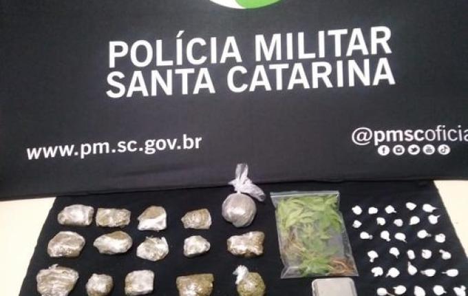 Polícia prende três homens por tráfico e apreende 12 pés de maconha em Mondaí