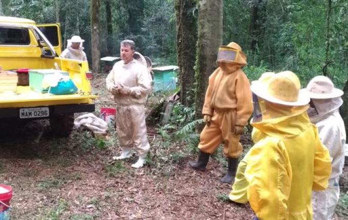 Epagri orienta sobre alimentação de abelhas em períodos de chuva
