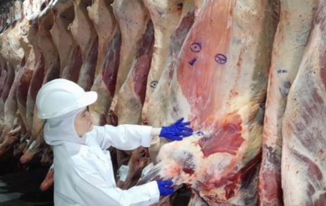 União Europeia suspende importações de carnes brasileiras a partir de quinta