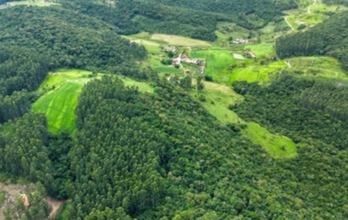 SC abre inscrições para programa que paga agricultores por preservação ambiental