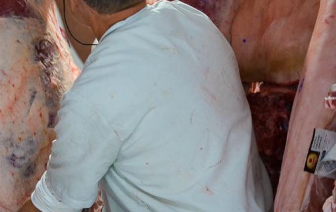 Brasil suspende exportações de carne à China com confirmação de caso de "vaca louca"