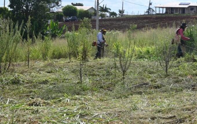 Descanso reforça limpeza de terrenos e alerta para multa de R$ 1,6 mil a proprietários