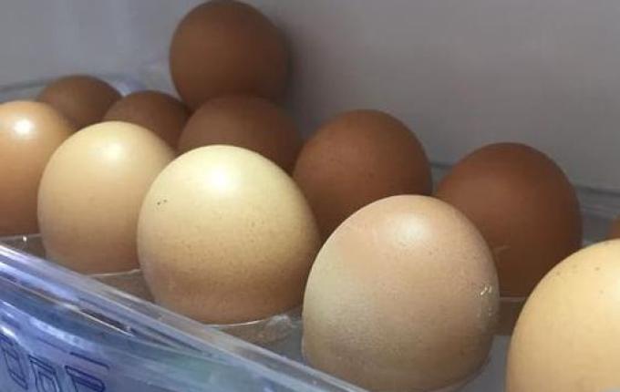 Preços dos ovos aumentam quase 40% em SC segundo Cepa/Epagri