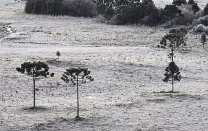 SC enfrenta mais um dia de onda de frio com geada e termômetros em -7°C