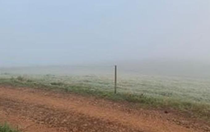 FOTOS: Internautas e ouvintes registram geada em municípios da região