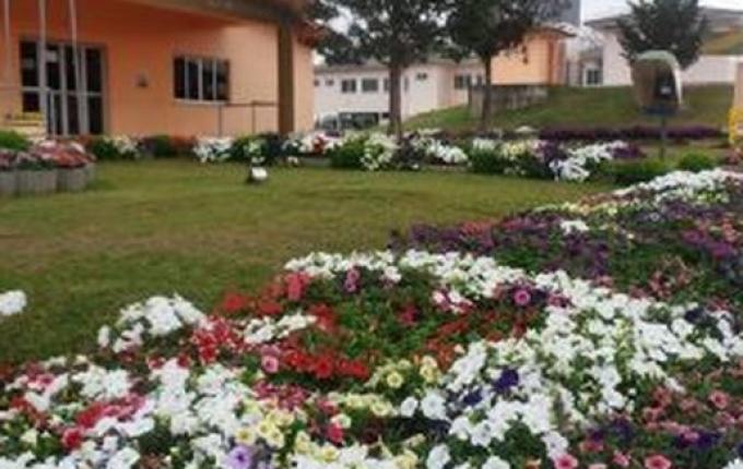 Bandeirante terá ensino integral para alunos do pré-escolar a partir de março