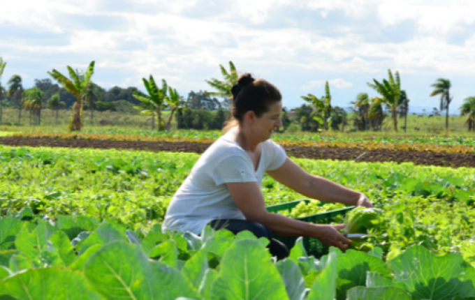 Capacitação voltada para às mulheres do campo terá início em abril