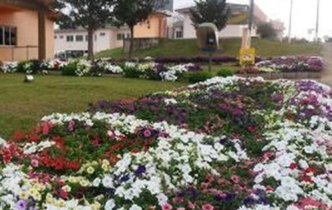 Saiba quem são os candidatos a prefeito, vice e vereador em Bandeirante