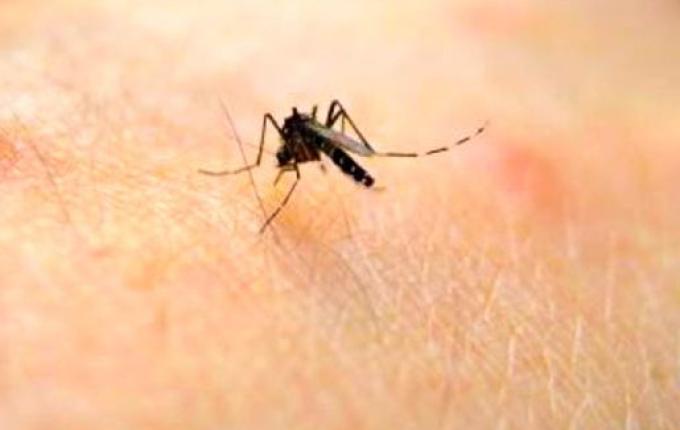 São Miguel tem dois casos confirmados de dengue