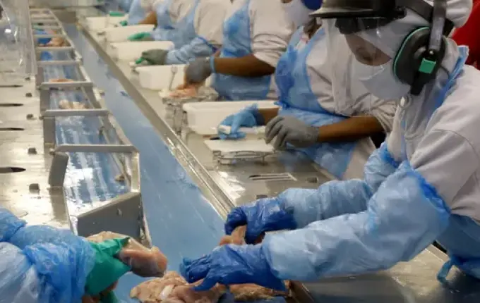 Redução da jornada vai custar R$ 10,8 bilhões por ano para cooperativas de SC