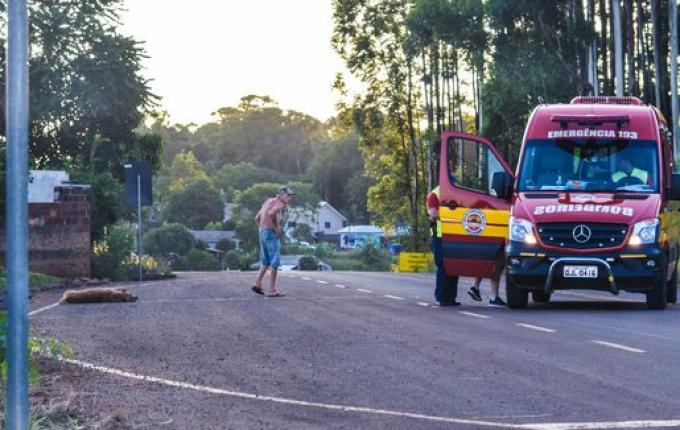 Atropelamento de cachorro deixa mulher ferida em SMOeste