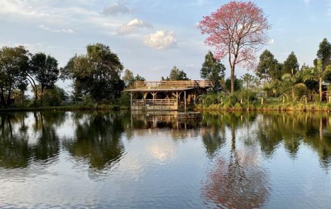 Agrofloresta ASAs completa 10 anos de cuidado com a natureza