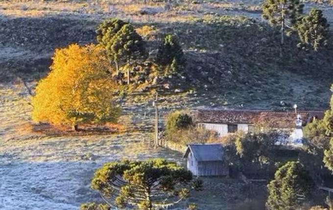 Região mais fria de SC amanhece com temperaturas negativas e geada