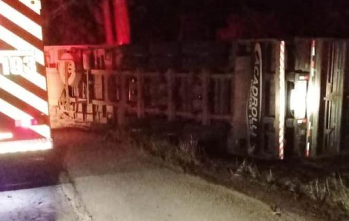 Motorista tem ferimentos graves em acidente com carreta carregada de suínos na SC-161
