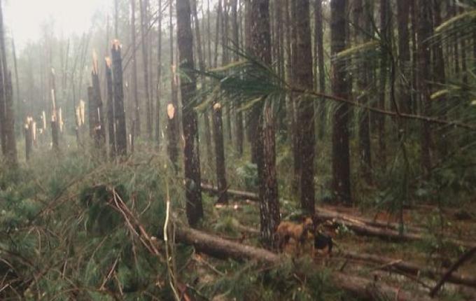 Santa Catarina é atingida pelo segundo tornado em menos de três horas