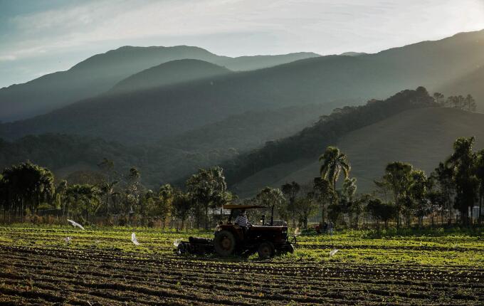 Governo de SC inicia transição para o CAR Digital e plataforma fica temporariamente indisponível