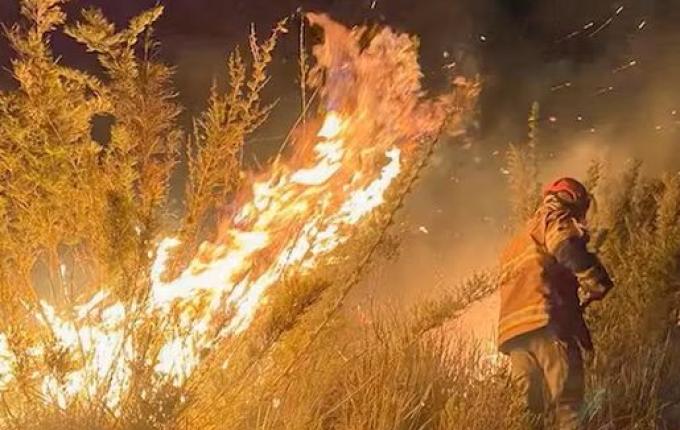 Incêndios florestais causaram prejuízo de R$ 14,7 bilhões na agricultura, estima CNA