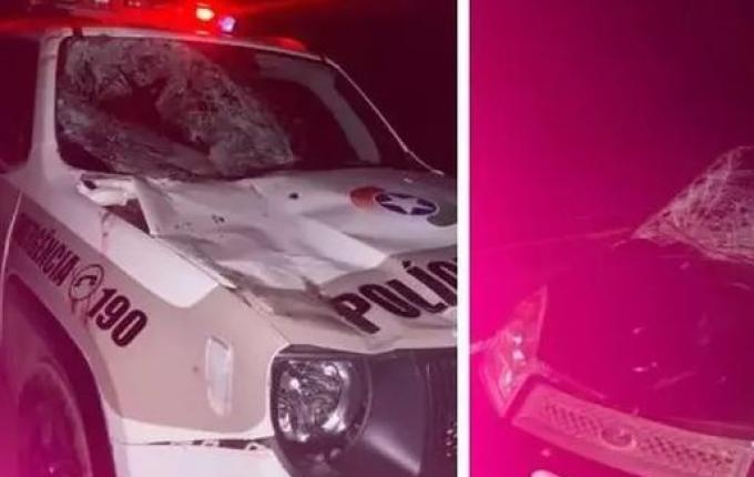 Cavalo foge, invade rodovia e morre ao ser atropelado 2 vezes seguidas em SC