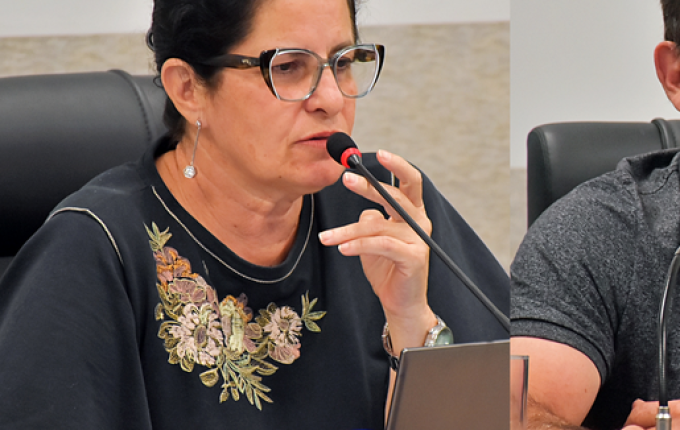 Vereadores sugerem volta do funcionamento diário da Feira Livre de São Miguel do Oeste