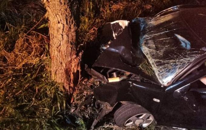 Motorista fica ferido em colisão contra árvore na SC-496, em SJO