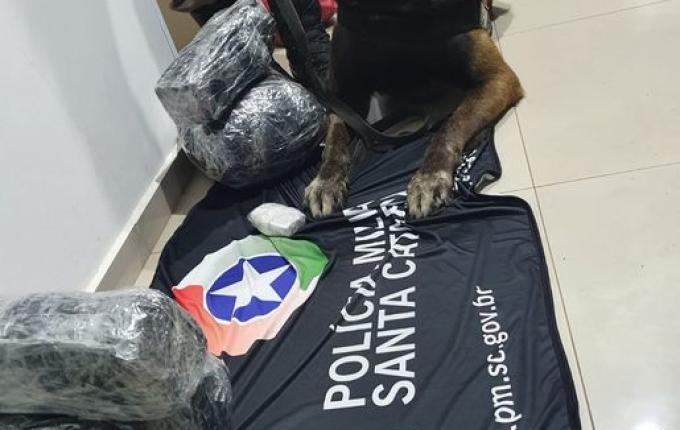 Passageira de ônibus é presa com 5kg de maconha na rodoviária de SMOeste