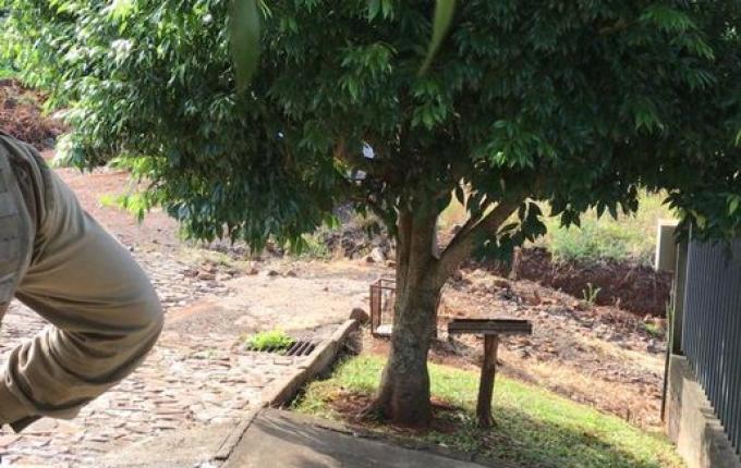 URGENTE: Corpo é encontrado no bairro Estrela em São Miguel do Oeste