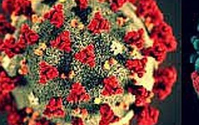 Homem é diagnosticado com covid-19, dengue e gripe no interior de Goiás