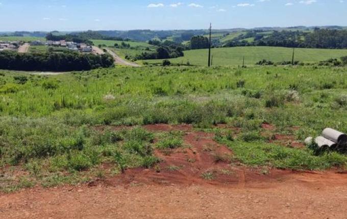 Justiça apura venda irregular de terrenos habitacionais em São José do Cedro