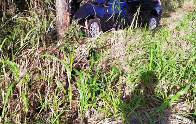 Três pessoas ficam feridas em colisão com árvore na SC-305