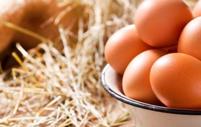 Brasil deve produzir 62 bilhões de ovos e consumir quase todos em 2025