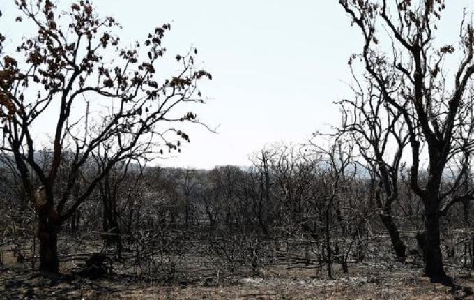 SC registra aumento de 137% de área queimada no primeiro trimestre de 2025