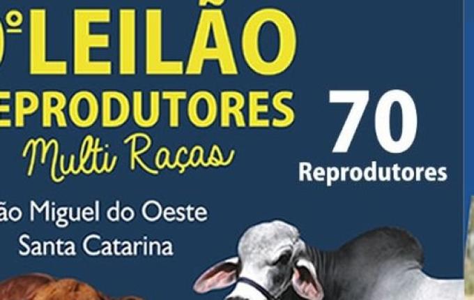 Associação organiza eventos online no final de semana em SMOeste