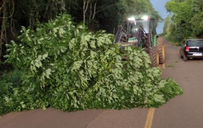 Moradores realizam manutenção por conta própria em rodovia estadual