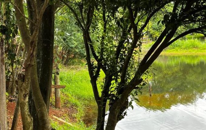 Idosa é encontrada morta dentro de açude no interior de SMO