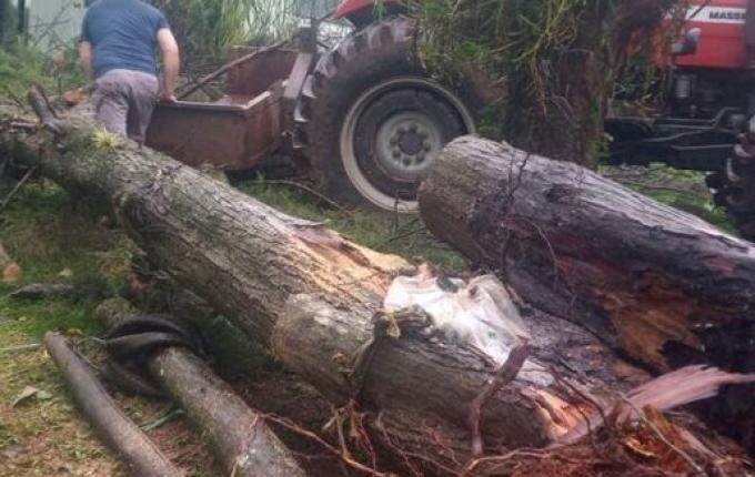Defesa Civil confirma microexplosão em Itapiranga; fenômeno causa mortes e destruição no Oeste