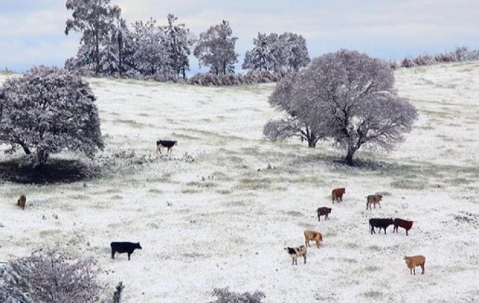 Primeira neve do ano em SC pode chegar nesta terça-feira devido a combo climático