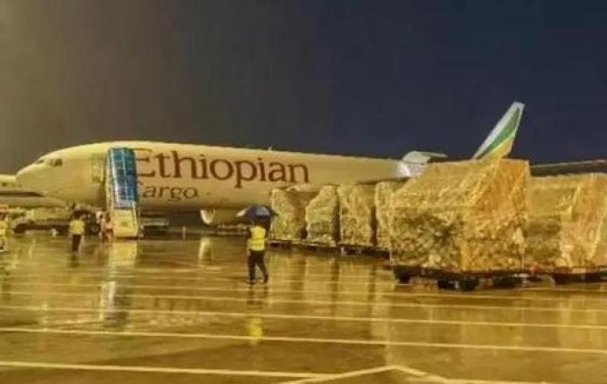 Justiça autoriza apreensão de respiradores comprados pelo governo de Santa Catarina