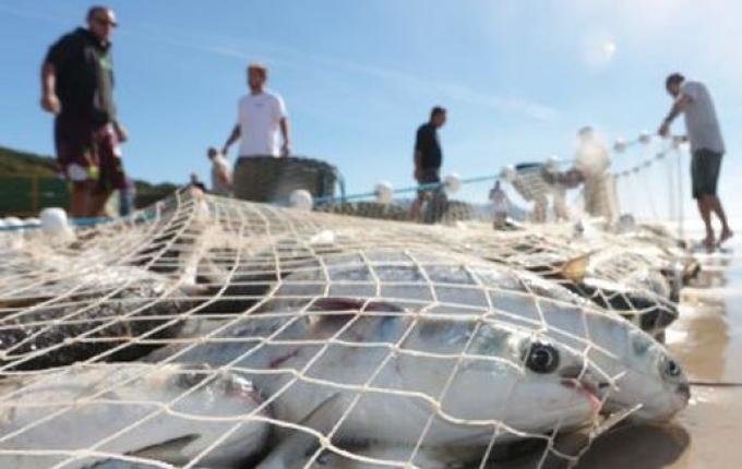 Secretaria da Aquicultura e Pesca busca maneiras de fortalecer atividade no Extremo Oeste