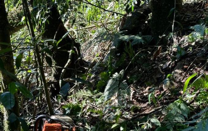 Idoso morre ao cair em ribanceira no interior de Caibi